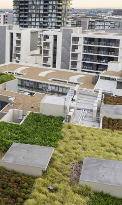 Living in Harmony with Nature: The Power of Green Roofs